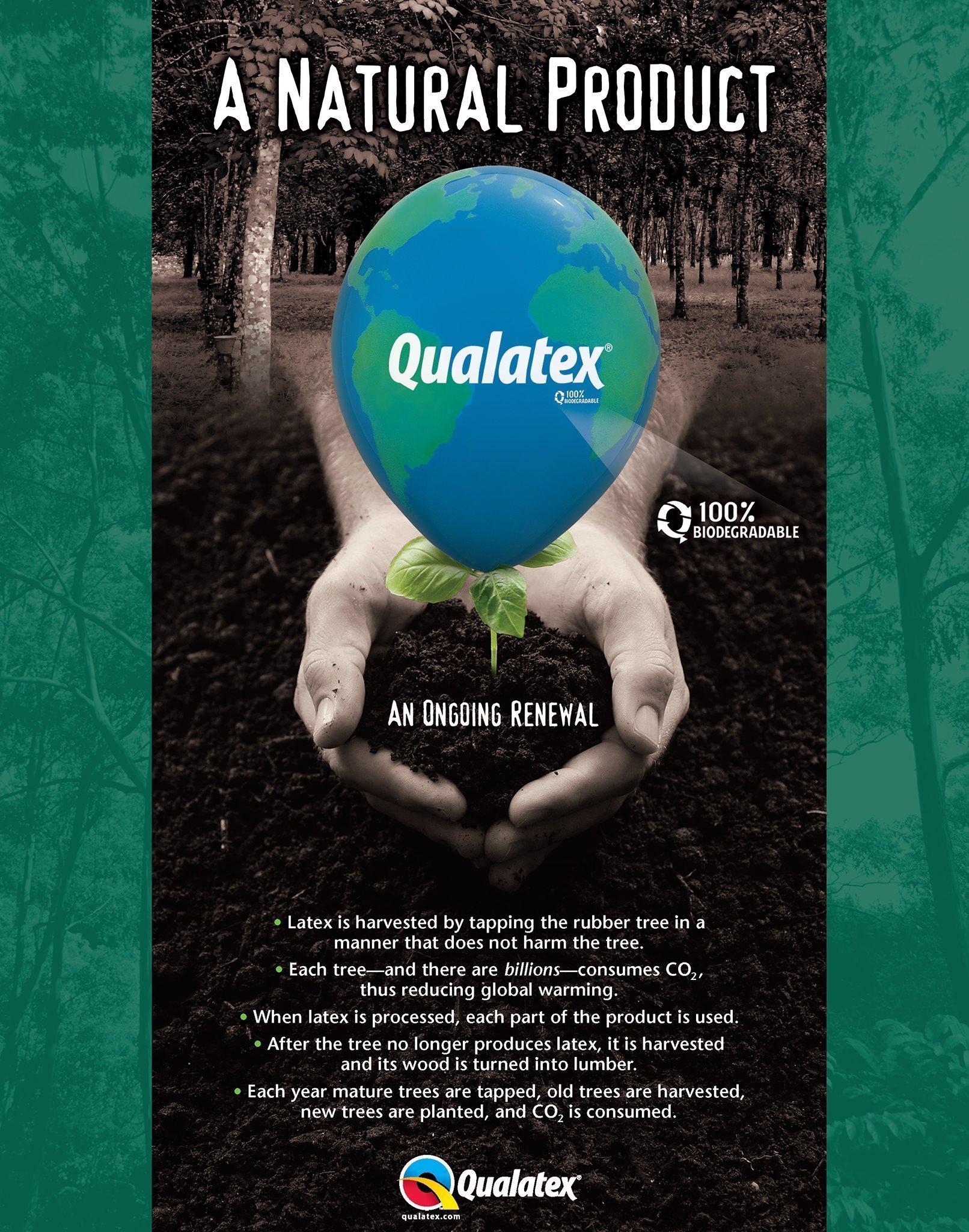 Balloons & Their Environmental Impact! BalloonZilla